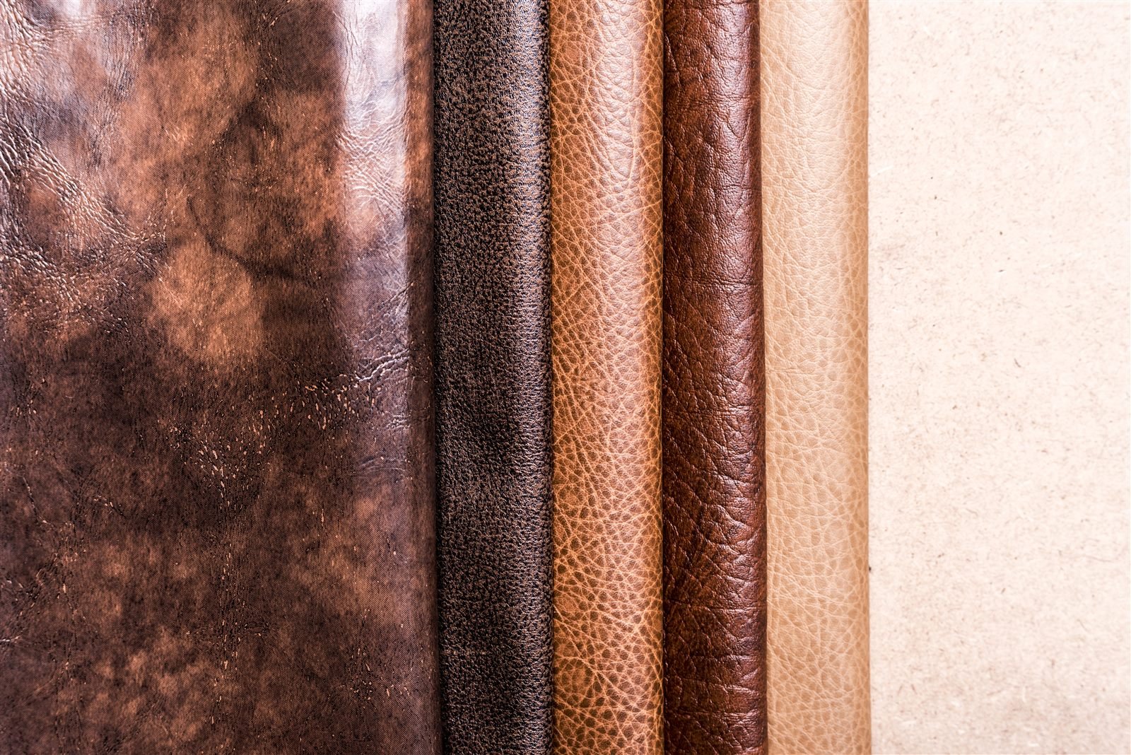 Leather Enzymes